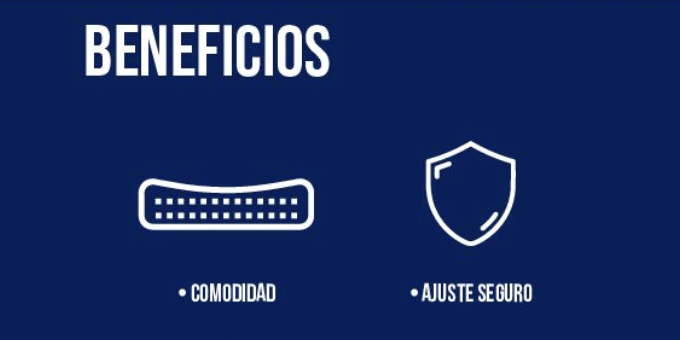 Inmovilizador